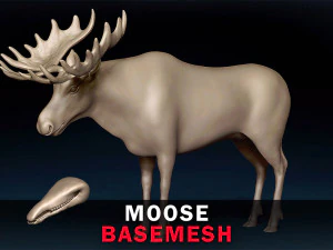 Лося Base Mesh 3D Модель