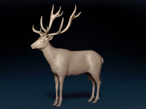 Red Deer Base Mesh Modèle 3D