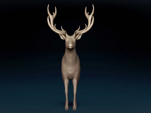 Red Deer Base Mesh Modèle 3D