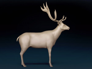 Red Deer Base Mesh Modèle 3D
