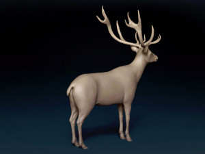 Red Deer Base Mesh Modèle 3D