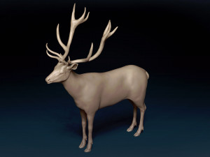 Red Deer Base Mesh Modèle 3D