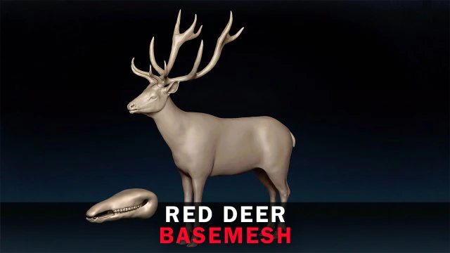 Red Deer Base Mesh 3D Model .c4d .max .obj .3ds .fbx .stl .blend
