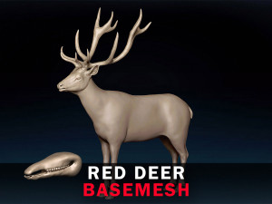 Red Deer Base Mesh 3Dモデル