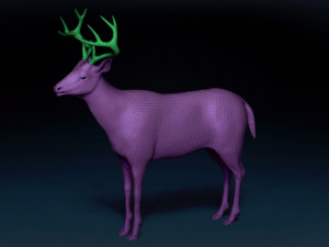 White Tailed Deer Base Mesh 3D Model
