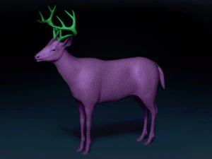 White Tailed Deer Base Mesh 3D Model