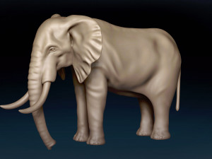 African Elephant Base Mesh 3D Model