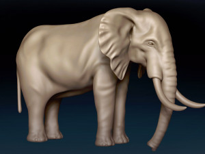 African Elephant Base Mesh 3D Model