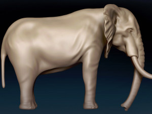 African Elephant Base Mesh 3D Model