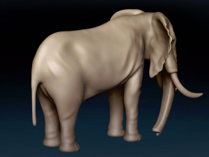 African Elephant Base Mesh 3D Model