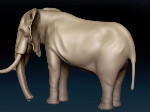 African Elephant Base Mesh 3D Model