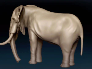 African Elephant Base Mesh 3D Model