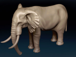 African Elephant Base Mesh 3D Model