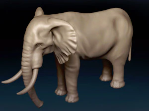 African Elephant Base Mesh 3D Model