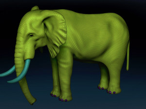 African Elephant Base Mesh 3D Model