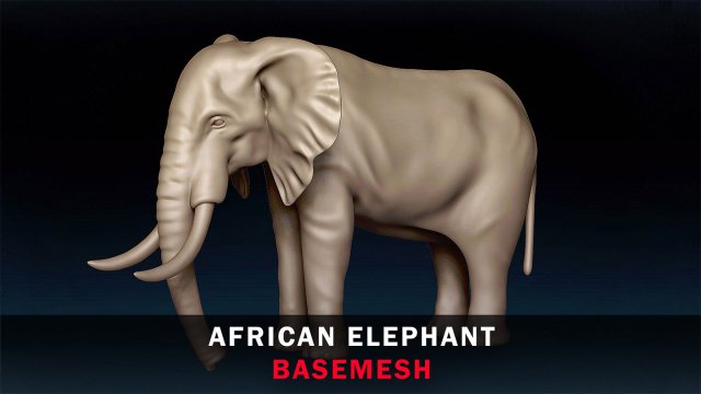 African Elephant Base Mesh 3D Model .c4d .max .obj .3ds .fbx .stl .blend 