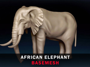 African Elephant Base Mesh 3D Model
