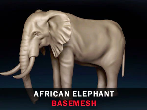 Maglia di base dell'elefante africano Modello 3D