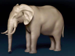 Malha Base Elefante Modelo 3D