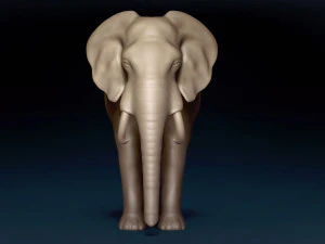 Malha Base Elefante Modelo 3D