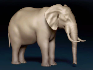 Malha Base Elefante Modelo 3D