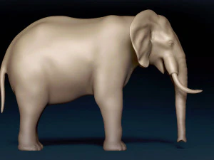 Malha Base Elefante Modelo 3D