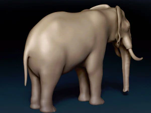 Malha Base Elefante Modelo 3D