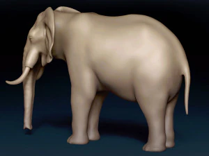 Malha Base Elefante Modelo 3D