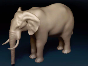 Malha Base Elefante Modelo 3D