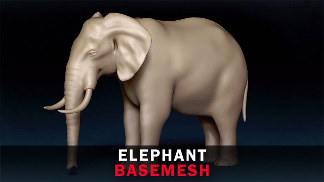 Elephant Base Mesh 3D Модель .c4d .max .obj .3ds .fbx .stl .blend 