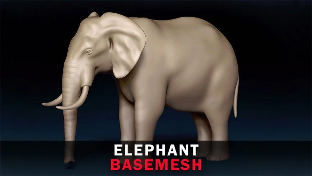 Malha Base Elefante Modelo 3D .c4d .max .obj .3ds .fbx .stl .blend 