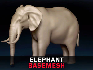 Siatka bazowa słonia Model 3D