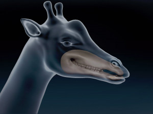 African Giraffe Base Mesh 3D Model