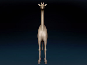 African Giraffe Base Mesh 3D Model