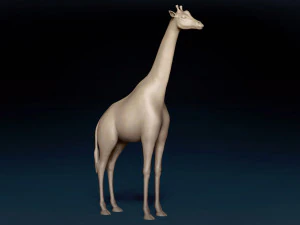 African Giraffe Base Mesh 3D Model