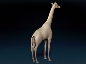 African Giraffe Base Mesh 3D Model