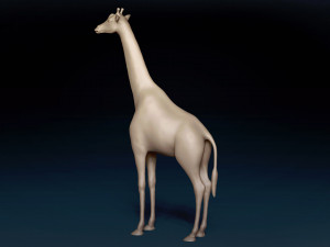 African Giraffe Base Mesh 3D Model