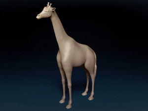 African Giraffe Base Mesh 3D Model