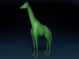 African Giraffe Base Mesh 3D Model