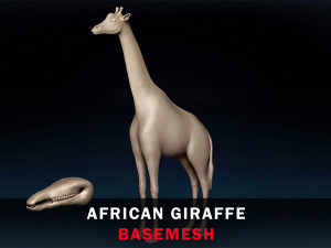 African Giraffe Base Mesh 3D Model