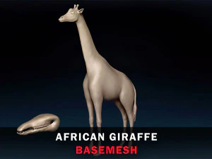 Siatka bazowa z afrykańską żyrafą Model 3D