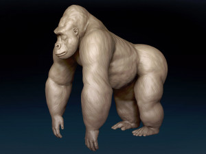 Gorilla Base Mesh 3D Model
