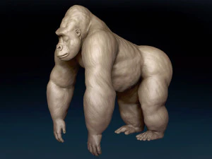 Gorilla Base Mesh 3D Model