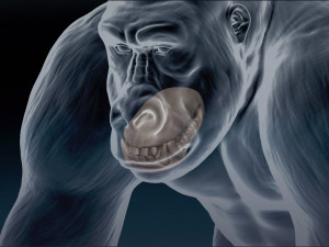 Gorilla Base Mesh 3D Model