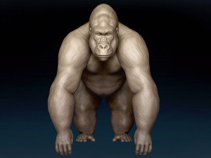 Gorilla Base Mesh 3D Model