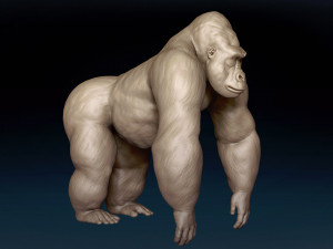 Gorilla Base Mesh 3D Model