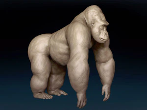 Gorilla Base Mesh 3D Model