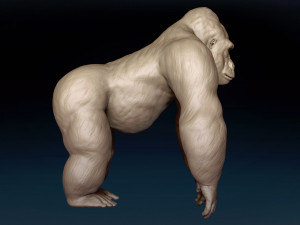 Gorilla Base Mesh 3D Model