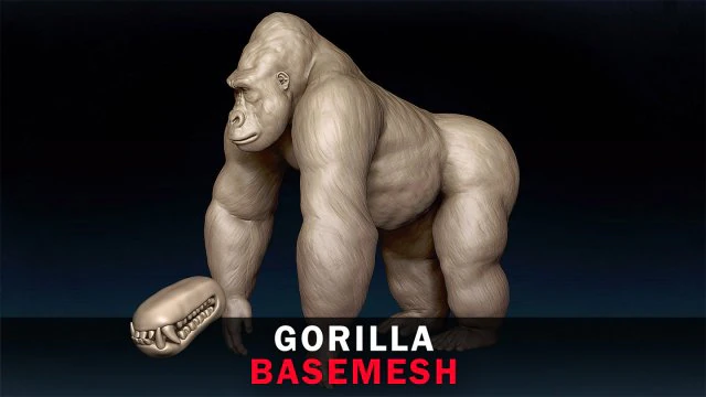 Gorilla Base Mesh 3D Model .c4d .max .obj .3ds .fbx .stl .blend 