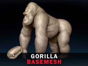 Gorilla Base Mesh 3D Modell